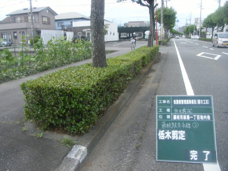 街路樹第5工区 静岡の造園業 カワイ樹園